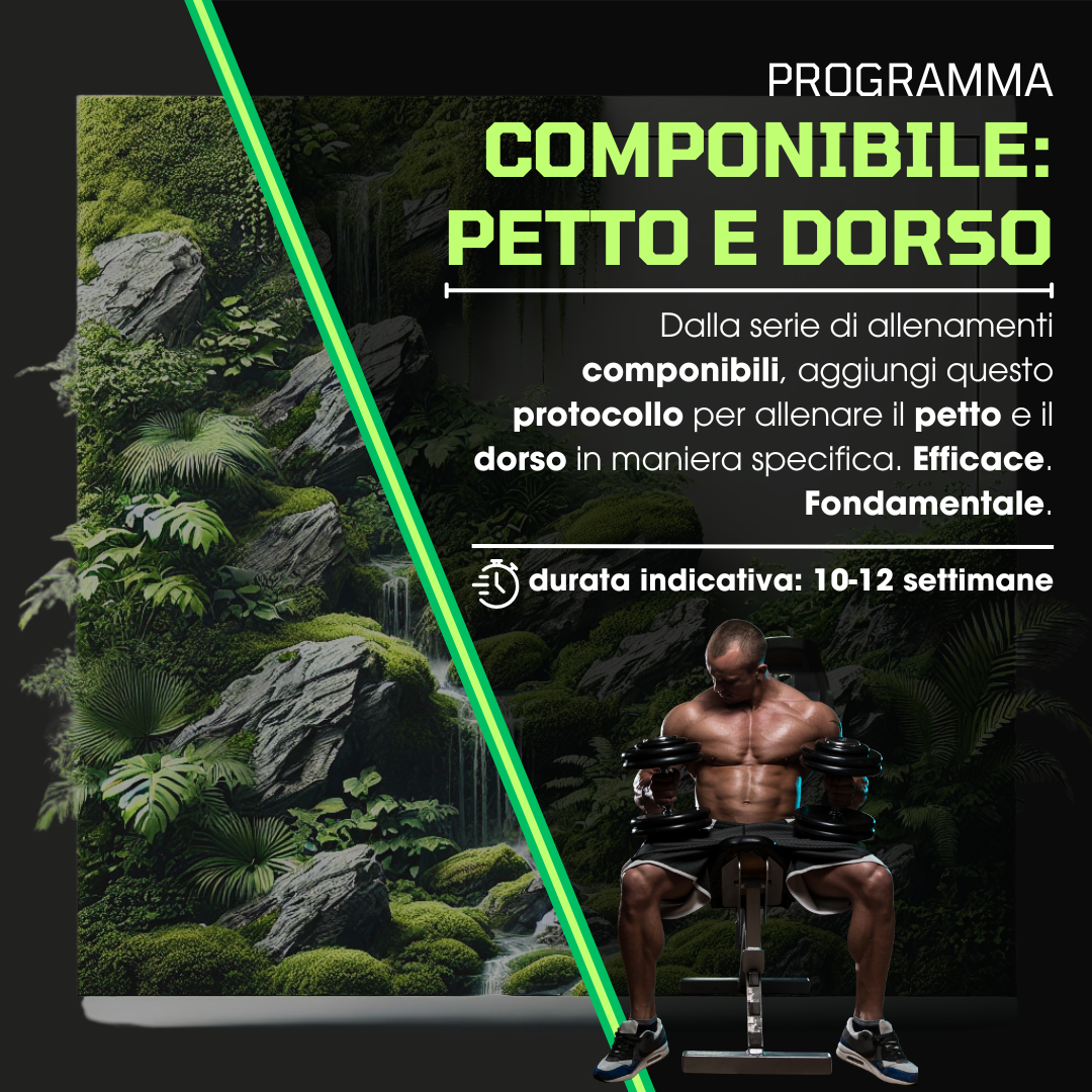 Petto e Dorso