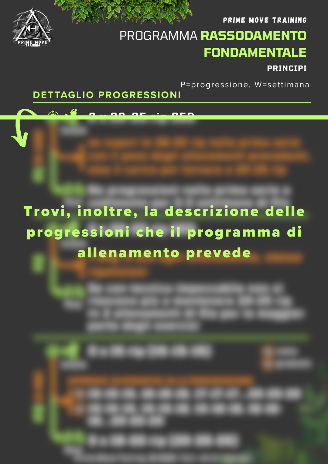 Rassodamento Fondamentale
