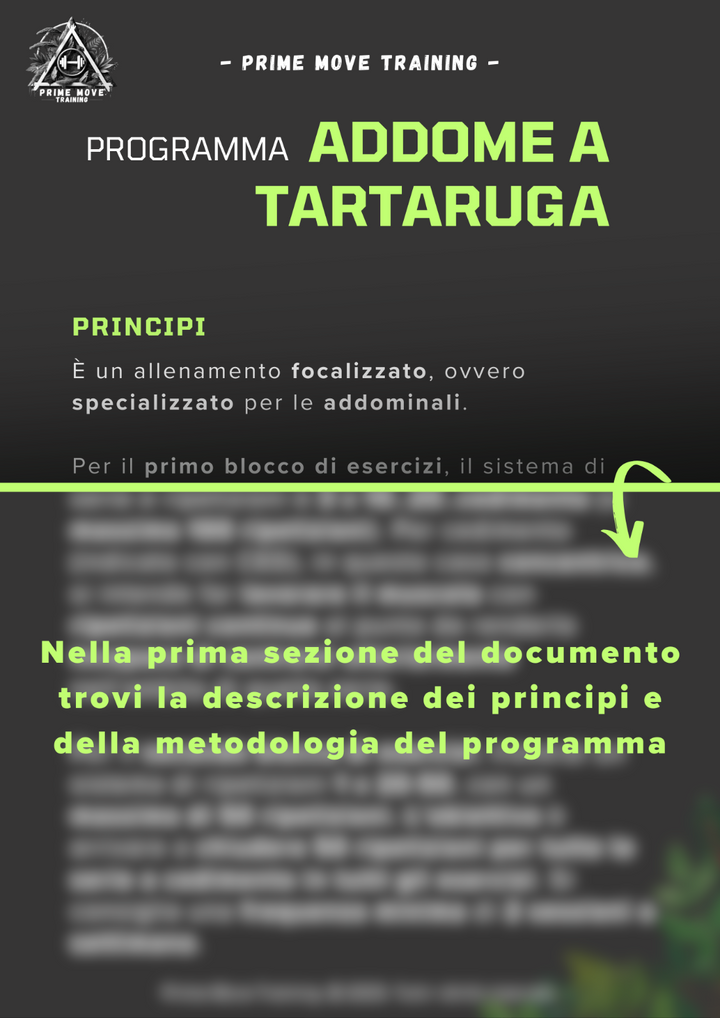 Addome a Tartaruga