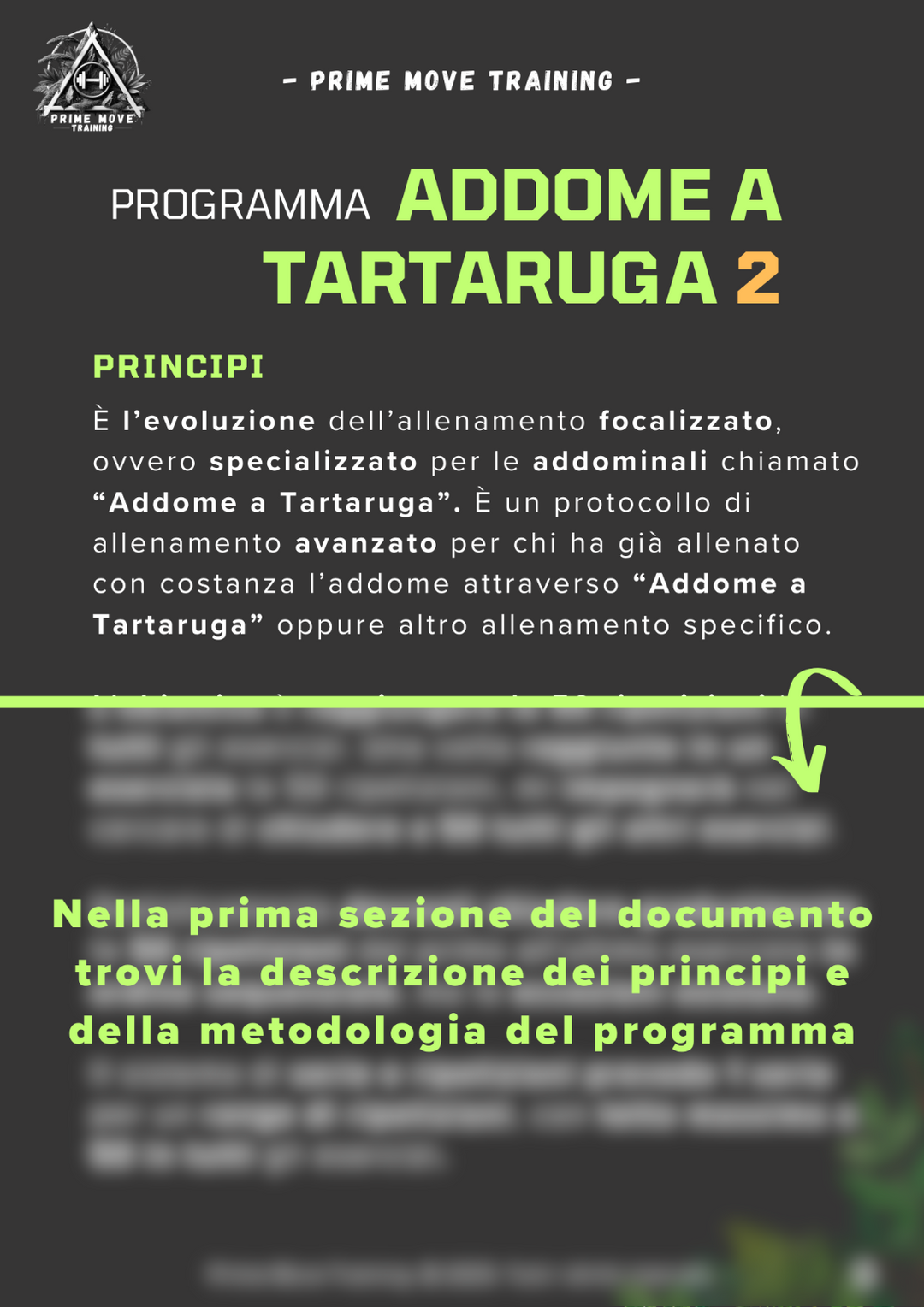 Addome a Tartaruga Avanzato
