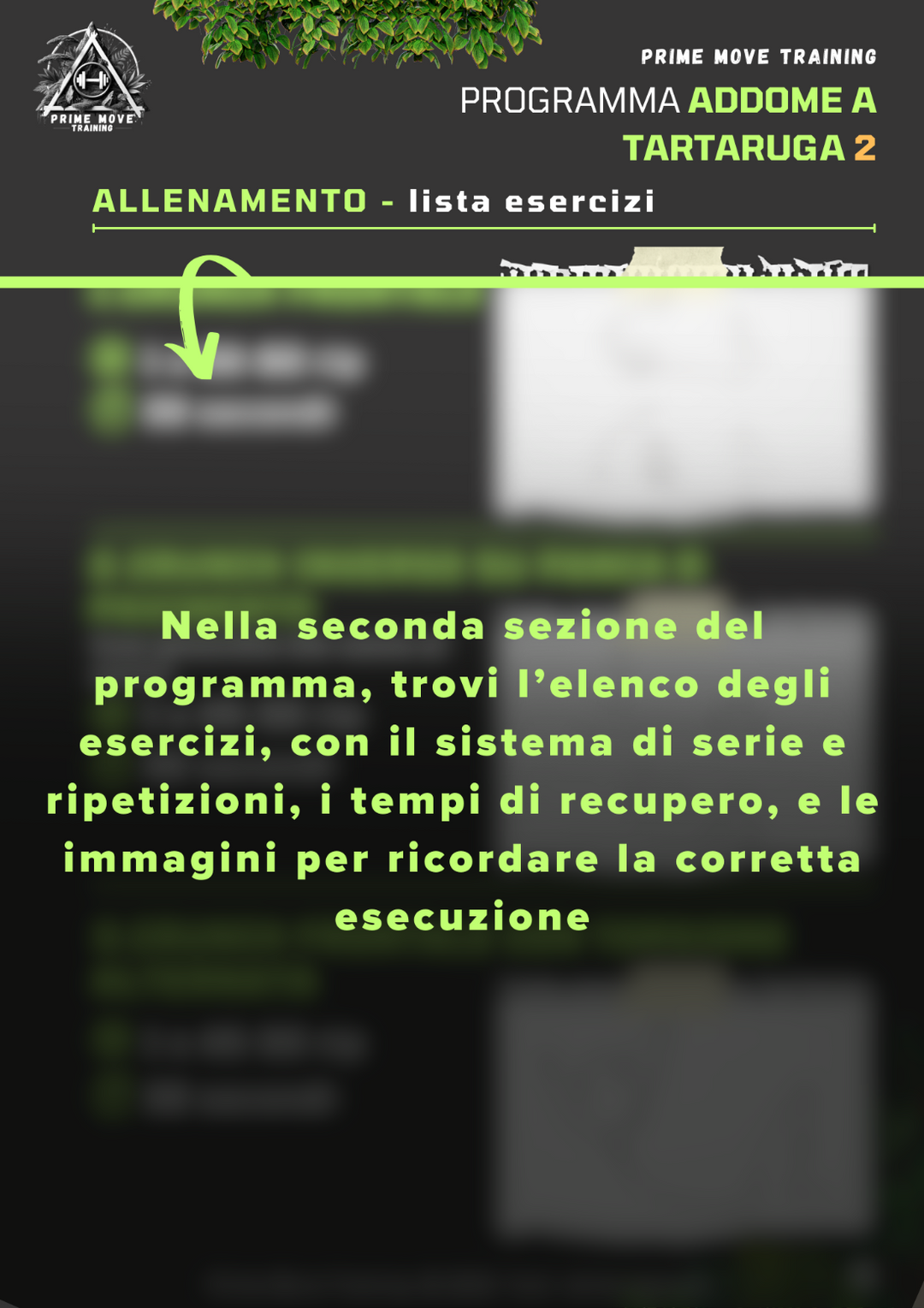 Addome a Tartaruga Avanzato