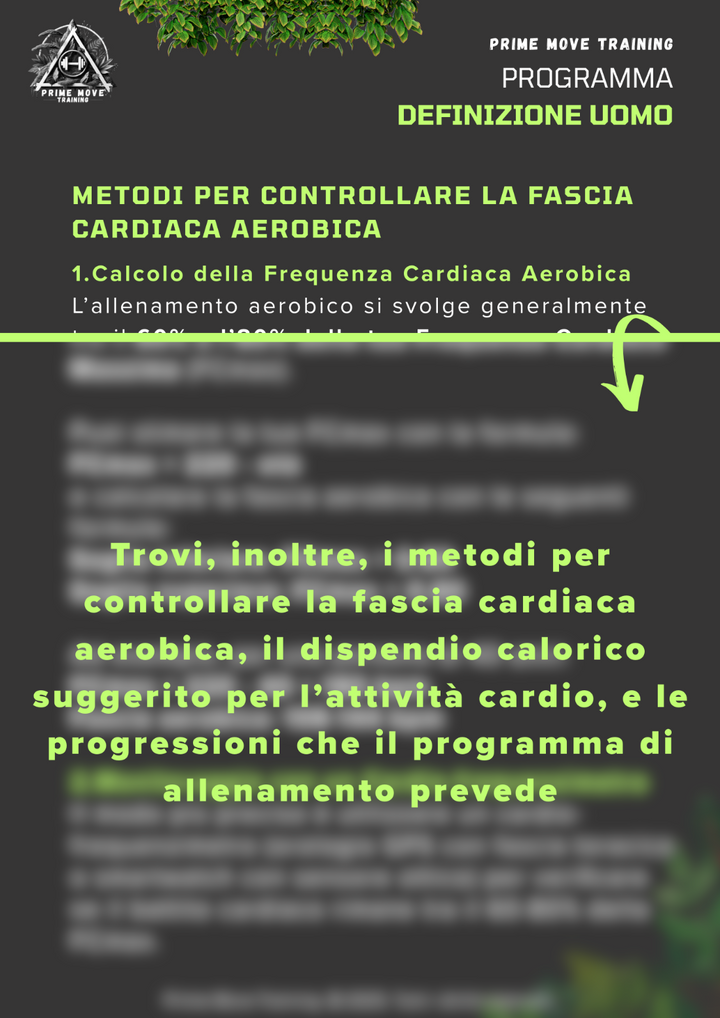 Definizione Uomo