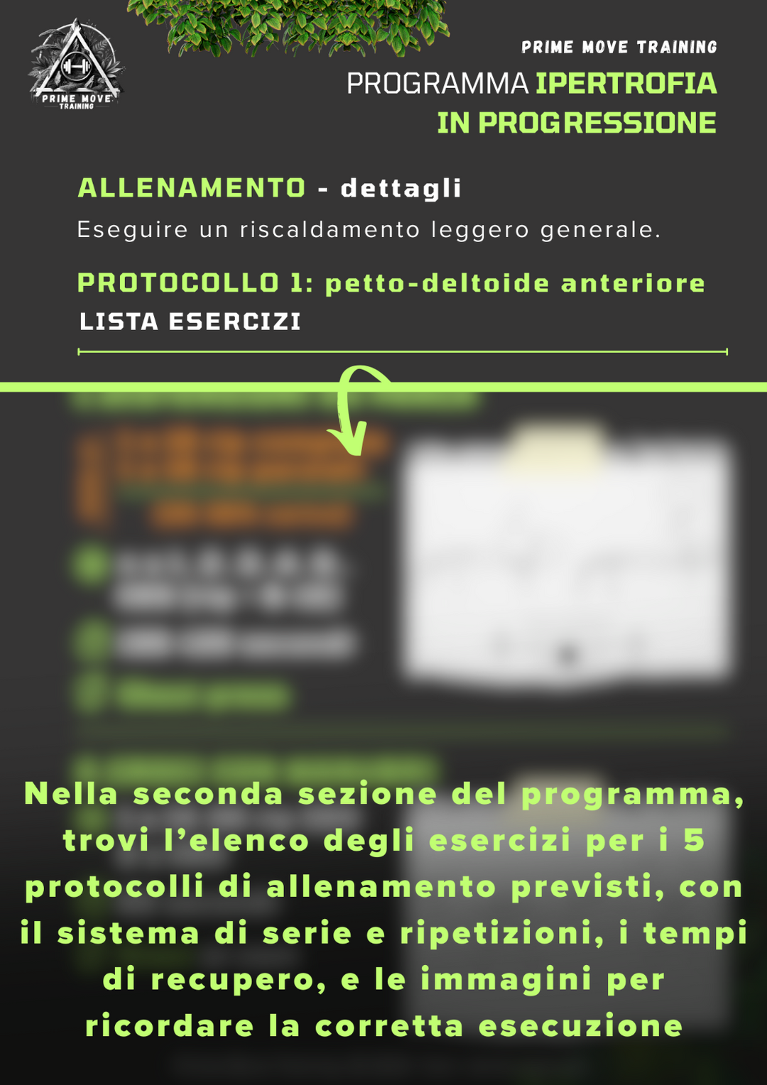 Ipertrofia in progressione