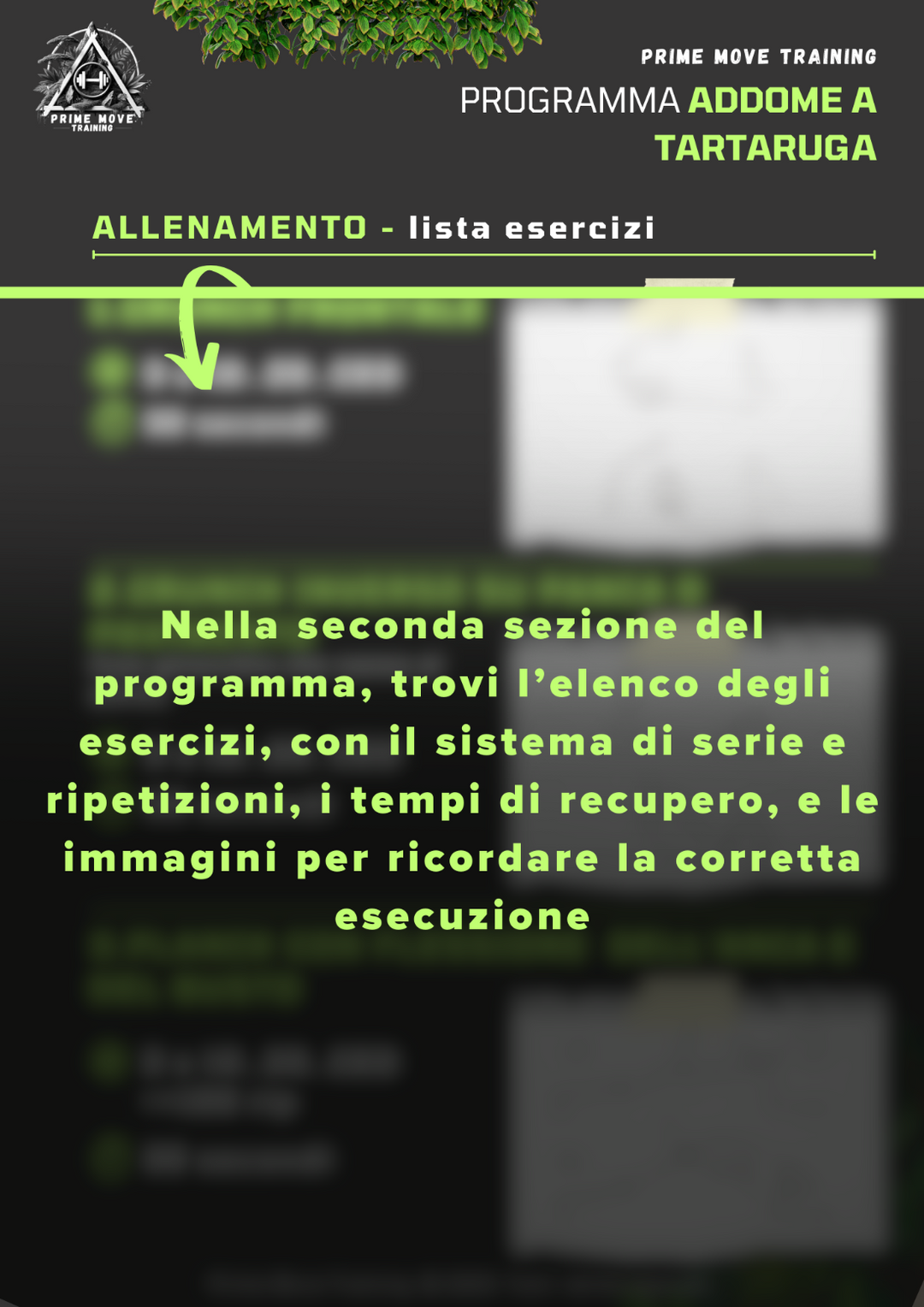 Addome a Tartaruga