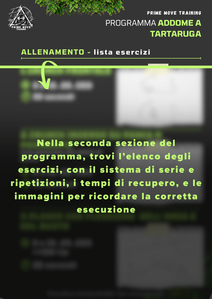 Addome a Tartaruga