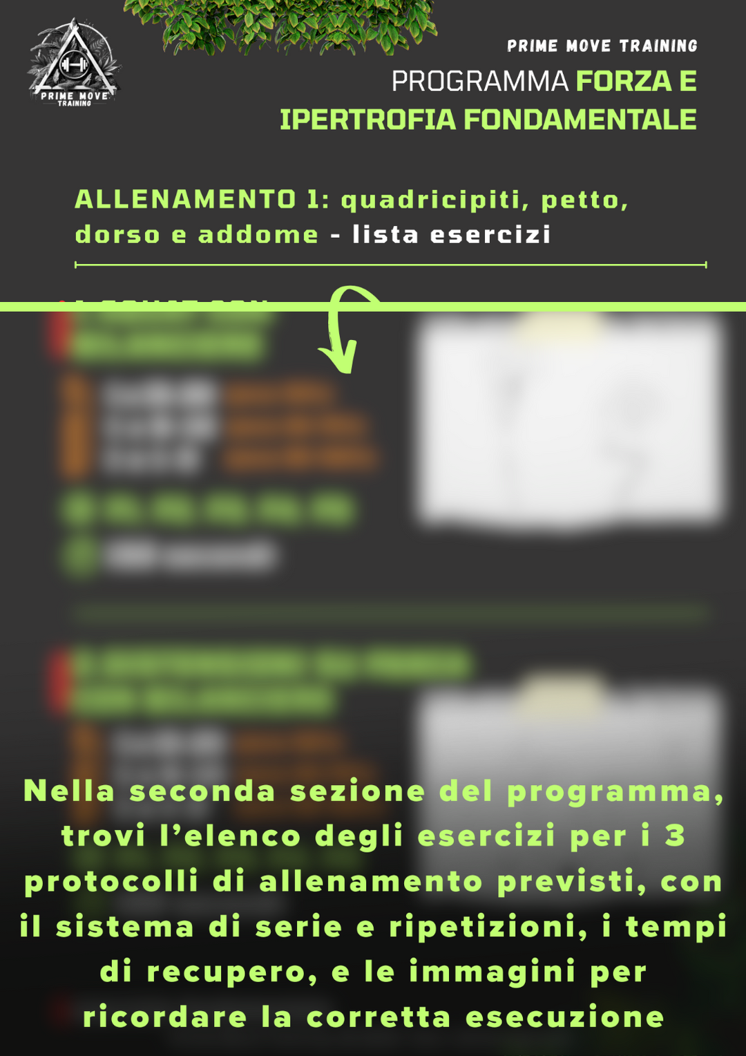 Forza e Ipertrofia Fondamentale