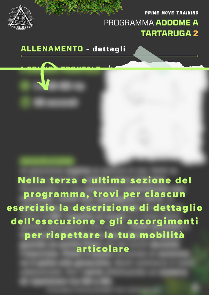 Addome a Tartaruga Avanzato