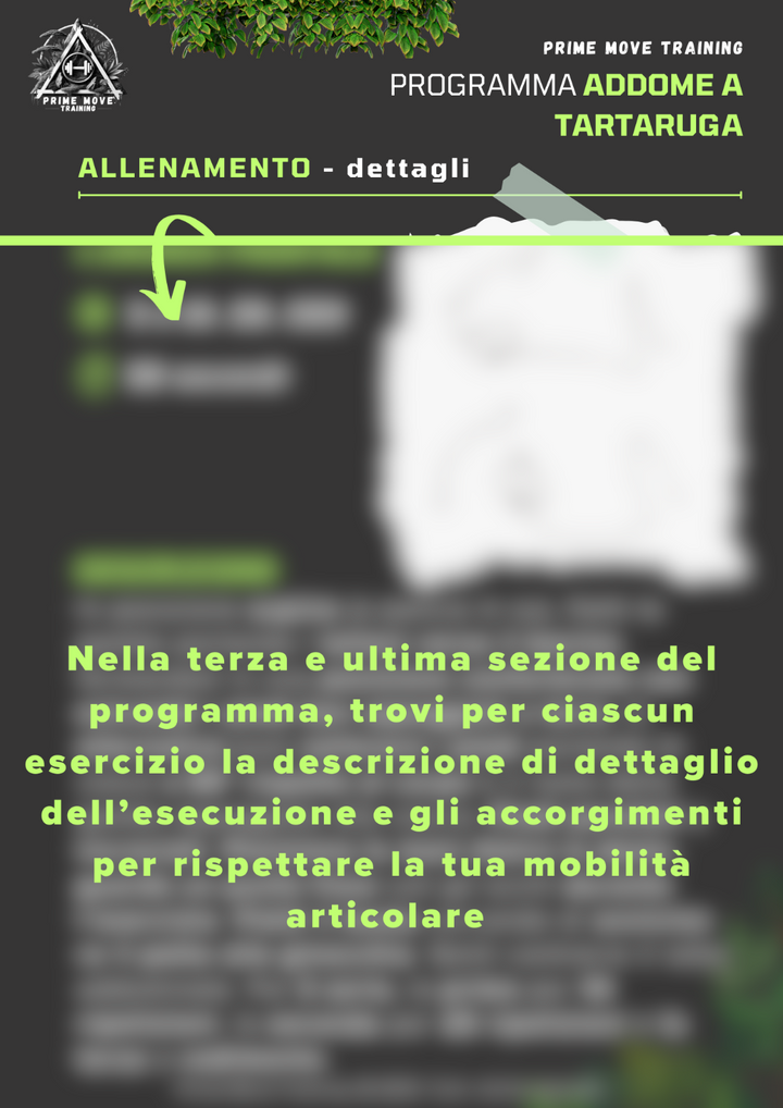 Addome a Tartaruga