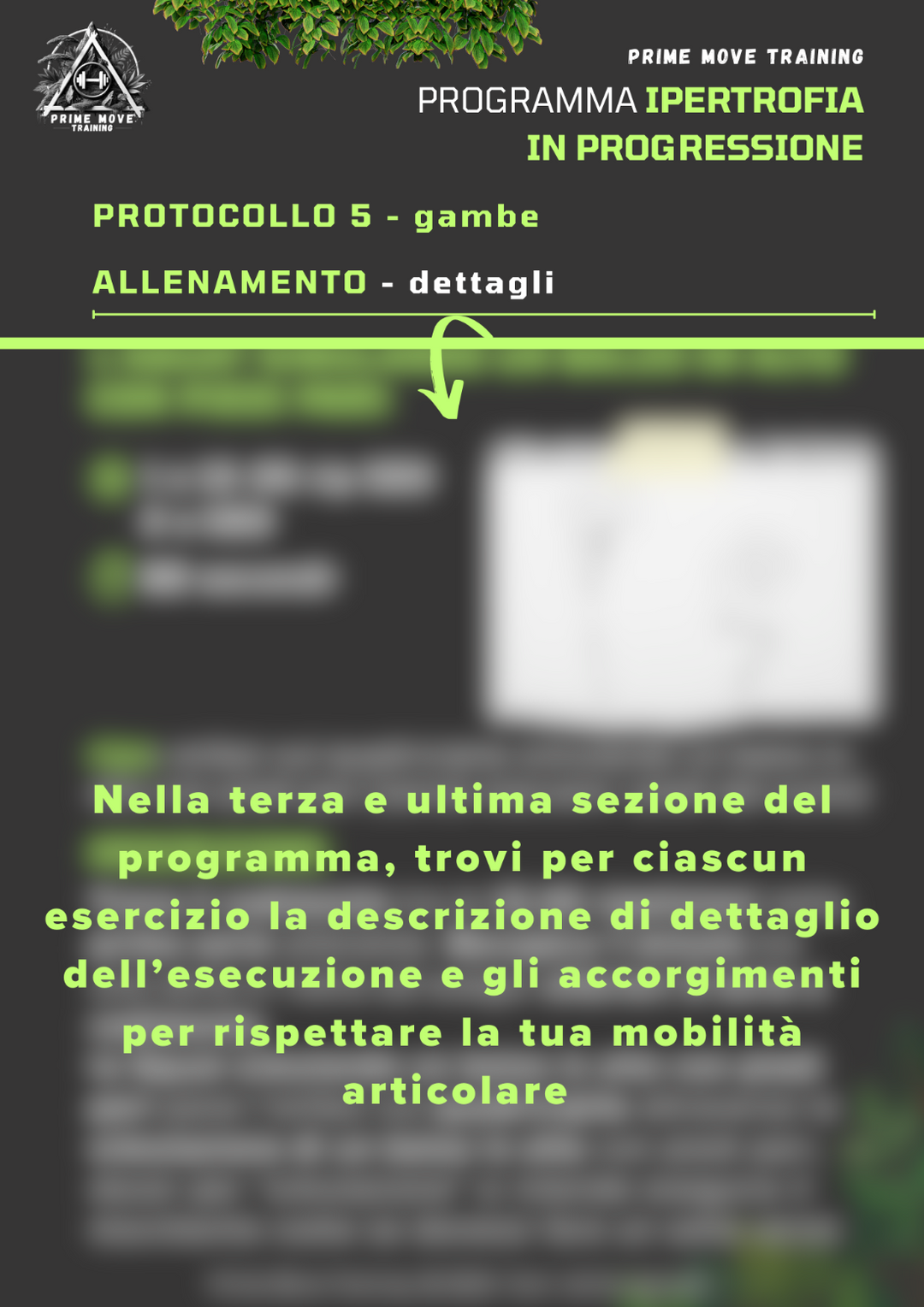 Ipertrofia in progressione