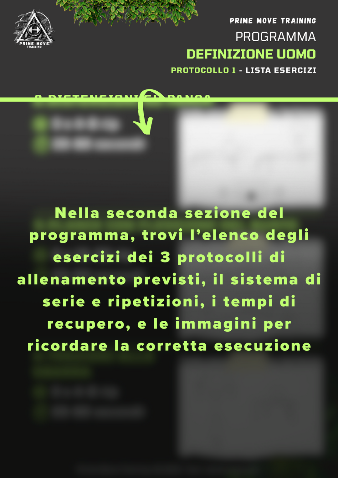 Definizione Uomo