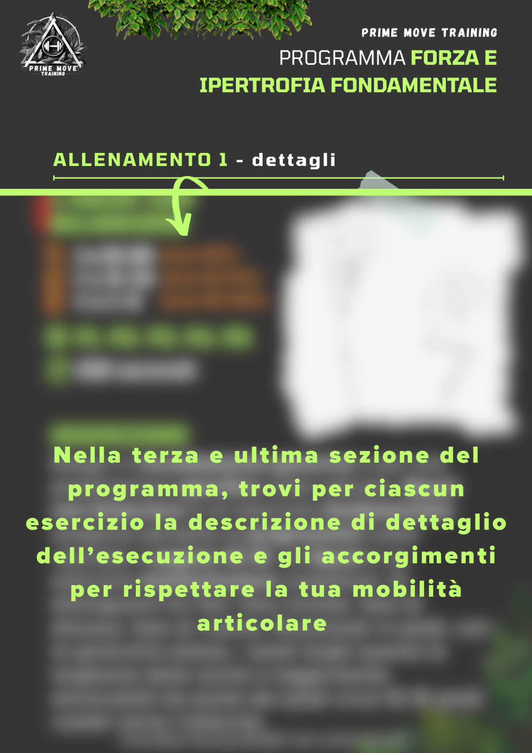 Forza e Ipertrofia Fondamentale