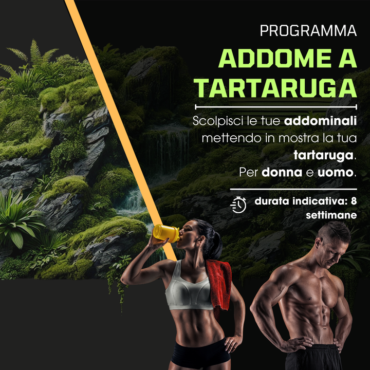 Addome a Tartaruga
